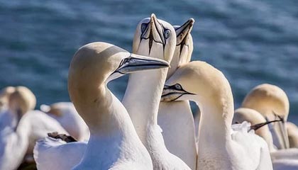 温岭2026年最新北京商务伴游经纪招聘渠道分享(最方便真实的温岭北京爱特博旅运服务有限责任公司招聘方法)