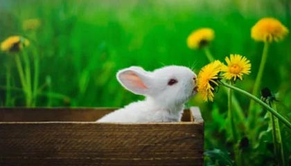 温岭2026年最新北京商务伴游经纪招聘渠道分享(最方便真实的温岭北京爱特博旅运服务有限责任公司招聘方法)